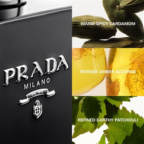 prada l homme sephora|prada l'homme price.